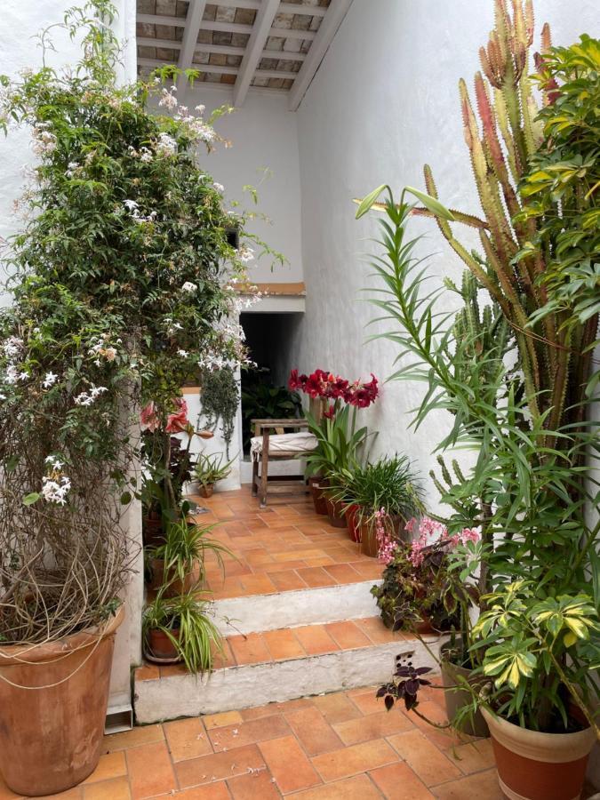 Casa Dulce Villa Vejer de la Frontera Eksteriør bilde